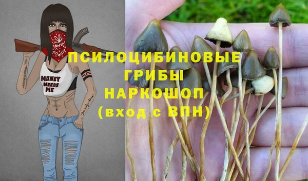 сатива Красноперекопск