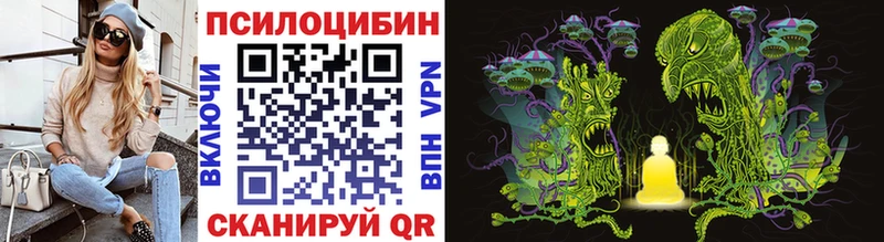 Купить  Алейск  Галлюциногенные грибы MAGIC MUSHROOMS 