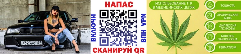 Канабис сатива Алейск